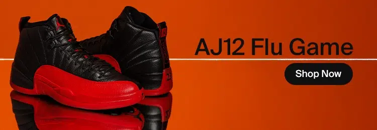 AJ12 Flu Game EN Primary Mobil small