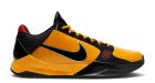 Nike Kobe 5 Protro Bruce Lee