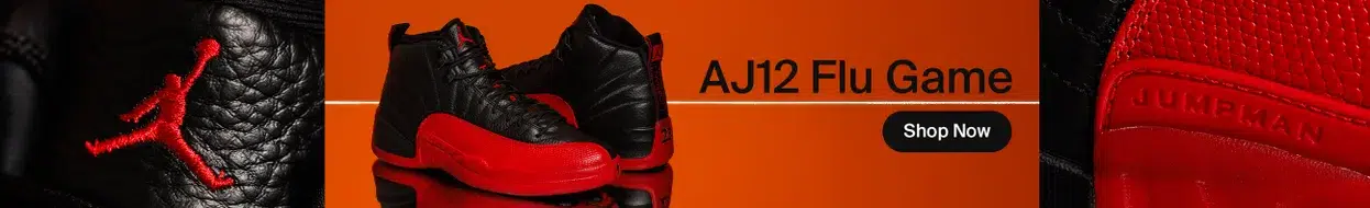AJ12 Flu Game EN Primary Desktop Small